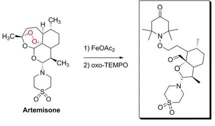 Figure 16: Fe-mediated decomposition of trioxane BO7. Adapted from  [172]