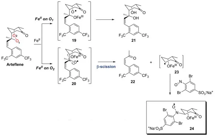 Figure 17: Fe-mediated activation of arteflene and radical spin-trapping.  