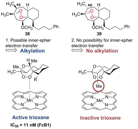 Figure 21: Activation of trioxanes 37 by an inner-sphere electron transfer: possible correlation between  pharmacological activity and alkylating properties 