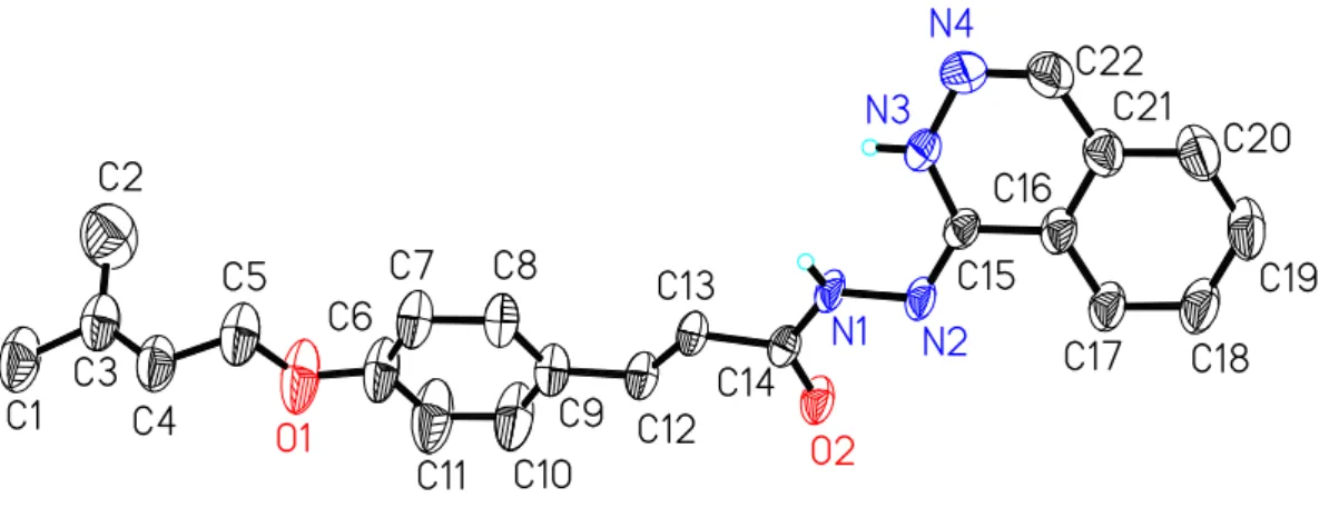Figure 6 : Structure de l’hydrazide 10c aux Rayons X