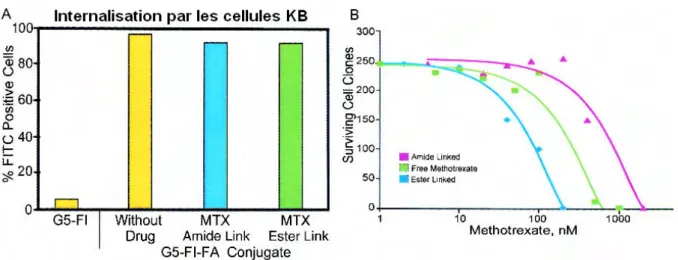 Figure 1-20 : Etude de la délivrance intracellulaire de méthotrexate par la cytométrie de flux 76
