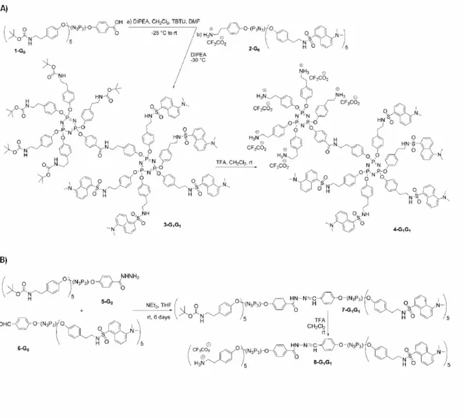 Figure  1-36 :  Les  deux  voies  de  synthèse  du  dendrimère  Janus.  A)  par  couplage  peptidique ;  B)  par  condensation entre l’hydrazone et l’aldéhyde 115