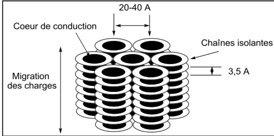 Figure 13. Vue schématique de la migration de charge dans la phase colonnaire 