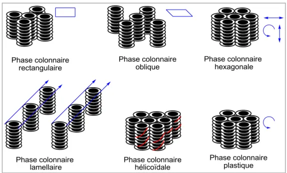 Figure 15. Représentation schématique des phases colonnaires : rectangulaire,  oblique,  hexagonale,   plastique, hélicoïdale et lamellaire