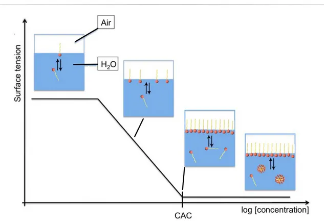 Figure 3.1: Evolution of the surface tension as a function of the surfactant concentra- concentra-tion.