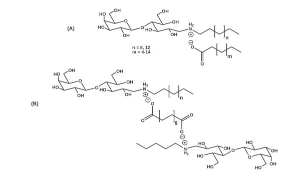 Figure 1.7: Catanionic systems synthesized in our laboratory with a bicatenar (A) and a gemini (B) structure.