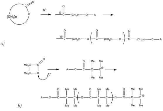 Fig. 2.3: Mécanisme ROP cationique : a) classique b) cas de la β, β−diméthyl - β−propiolactone
