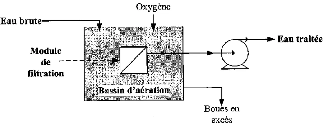 Figure 1-13 : schéma du procédé BAM en configuration &#34;membranes immergées&#34; [52]   Comparaison BAC/BAM 