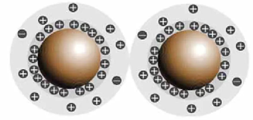 Figure 4 : Schéma représentant la répulsion stérique produit entre les grains de ciment par  l’utilisation de SNFC ou SMFC par exemple