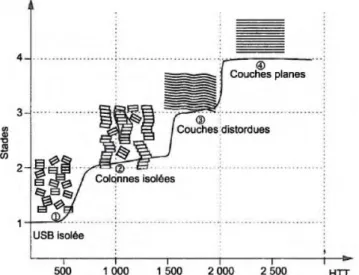 Fig. 19 : Principaux stades d’évolution structurale des fibres de carbone en fonction de la température  de traitement thermique 43 