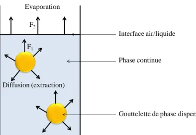 Fig. 35 : Schéma explicatif des vitesses de diffusion (F 1 ) et d’évaporation (F 2 ) présentent dans le 
