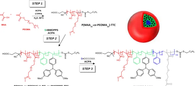 Figure II. 13.  Conversion versus time for the three steps of the BMOPPP@CCM latex synthesis depicted in 