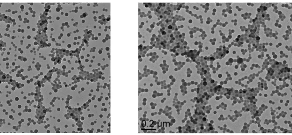 Figure II. 15.  TEM images of micelles (after Step 2 of the synthesis), left, and final core-cross-linked micelles  (BMOPPP@CCM), right