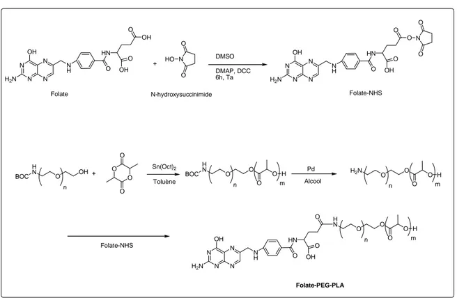 Figure 18 : Schéma de synthèse du conjugué fonctionnalisé Folate-PEG-PLA. [102]   