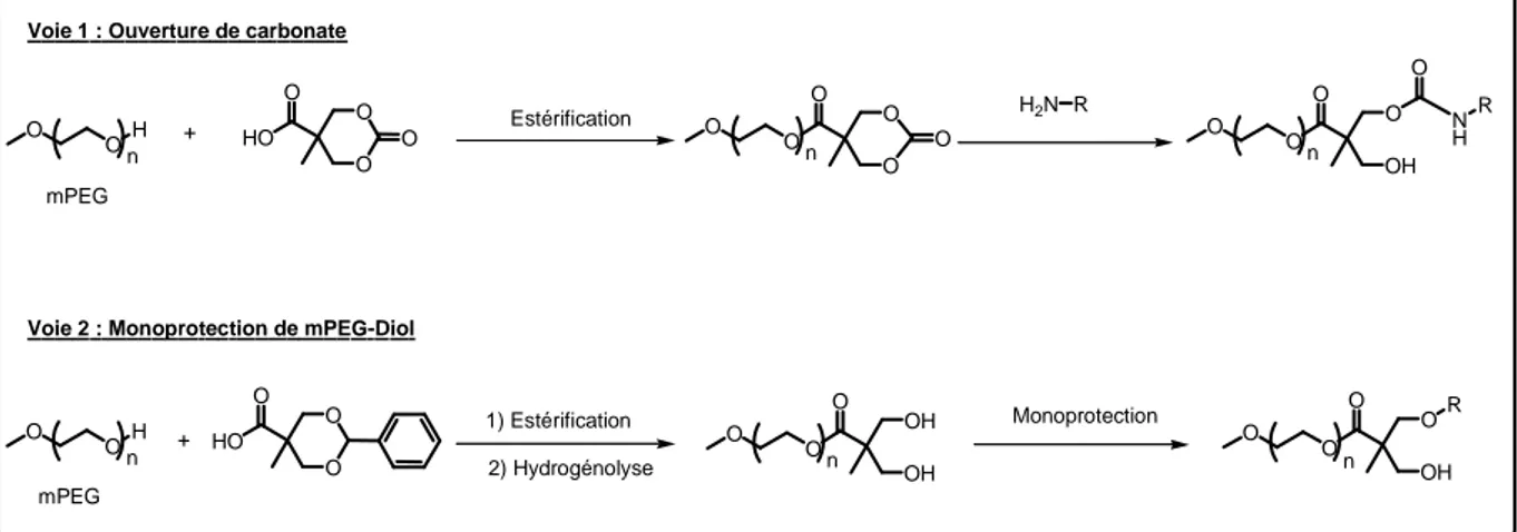 Figure 50 : Deux voies de synthèse de la chaîne mPEG fonctionnalisée. 