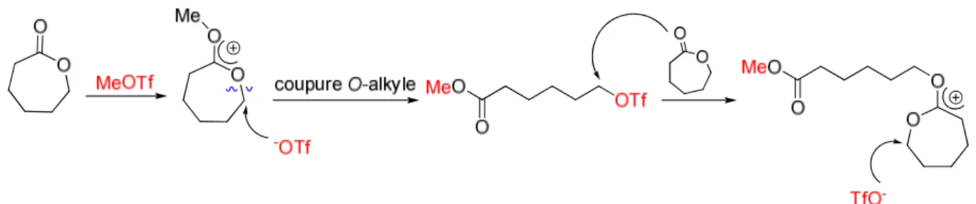 Figure 1.5. Mécanisme par activation de monomère proposé par Kricheldorf et al. 