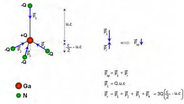 Figure 1.5 Polarisation spontanée dans une structure GaN wurtzite [26]. 