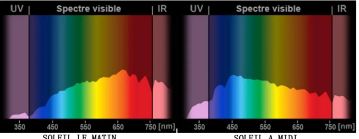 Figure 9 : Spectre typique de la lumière naturelle reçue au sol [28]. 