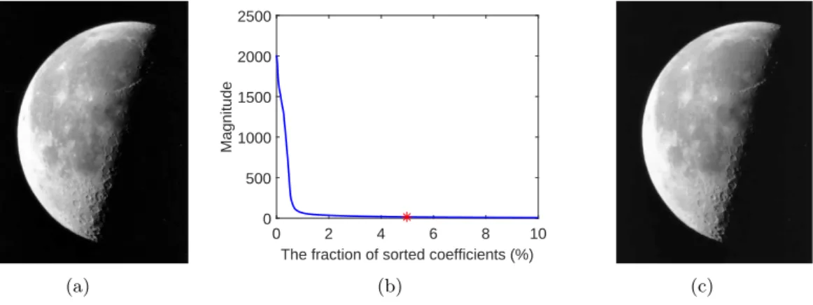 Fig. 2.1 illustrates this argument. Fig. 2.1 (c) was reconstructed with only the 5% largest