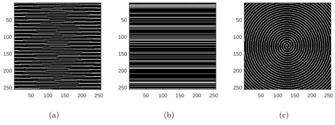 Figure 3.3: The proposed three different types of sampling masks, (a) Diagonal, (b) Row random and (c) Spiral.
