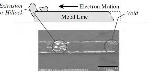 Figure I - 18. Formation des lacunes et des extrusion dans une ligne Ag stressée avec J = 23 MA/cm² à T = 160°C  [68]