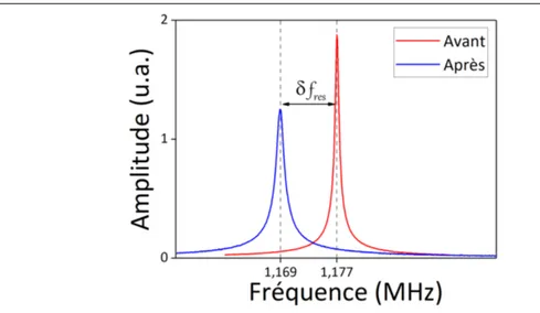 Figure 1.3 – Mode dynamique : réponse en fréquence de l’amplitude de la vibration d’un levier au voisinage de sa résonance avant et après interaction avec les molécules cibles, c’est-à-dire ajout de masse.