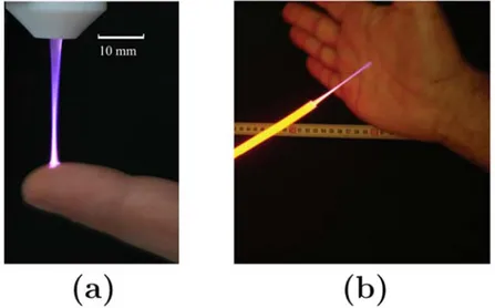 Figure 1-7. Photographies de jets plasmas en interaction avec des tissus vivants (-(a) Nastuta et al., (2011) ,  -(b) Robert et al., (2009) )