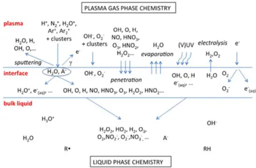 Figure 1-20. Diagramme schématique des principales espèces réactives générées par un plasma  d’argon/d’air en contact avec de l’eau ( Bruggeman et al., (2016) )