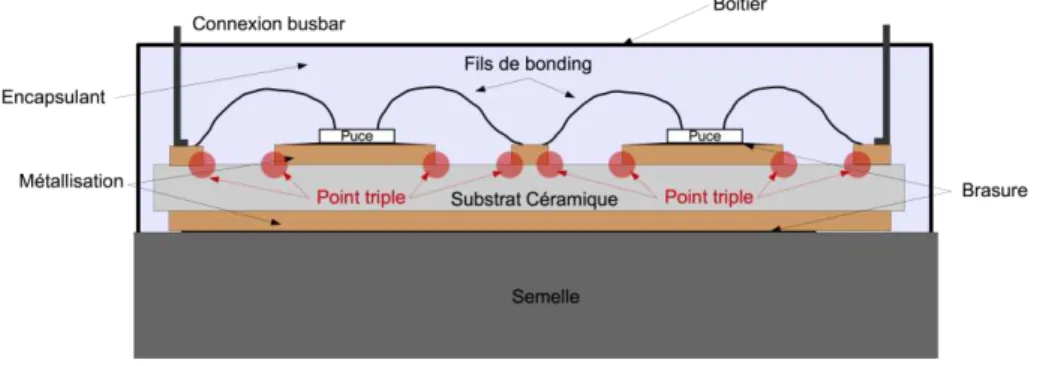Figure 10 : Coupe schématique d'un module de puissance avec la localisation des  points triples   