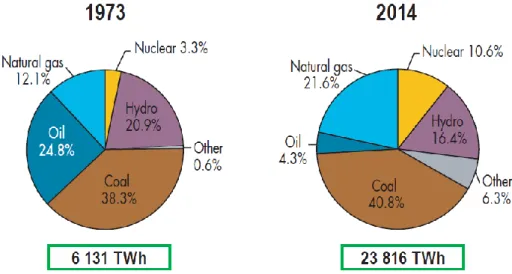 Figure 2.10 Historical evolution of global electricity generation by fuel type [3] 