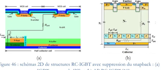 Figure 46 : schémas 2D de structures RC-IGBT avec suppression du snapback : (a) RC- RC-IGBT avec oxyde [23] et (b) AB RC-RC-IGBT [10] 