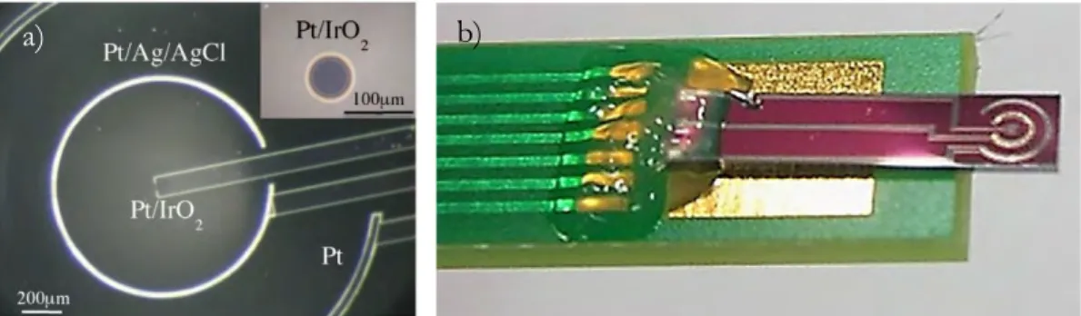 Figure 10 : a) vue au microscope optique et b) photographie d’une microcellule électrochimique