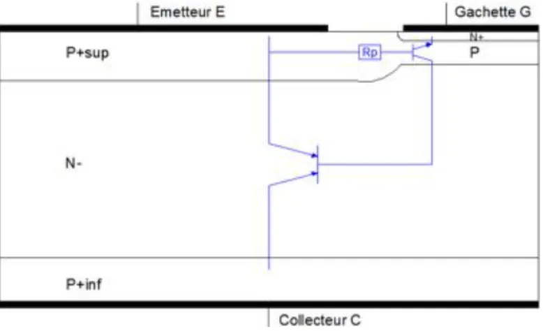 Figure	II.	2	:	Schéma	électrique	équivalent	(à	gauche)	et	symbole	(à	droite)	du	BipAC	PNP	 1.2- BipAC NPN 