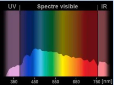 Figure 8 b : Spectre typique de la lumière naturelle reçue au sol [28] 