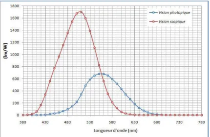 Figure 10 : Fonctions d’efficacités lumineuses spectrales photopique et scotopique en fonction des longueurs d’onde [29] 