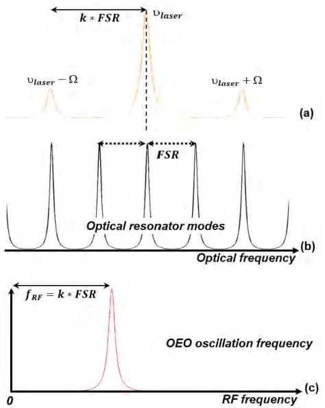 Figure I-11 Illustration of the different modes present in an OEO and the above mode matching  conditions;   : modulation frequency