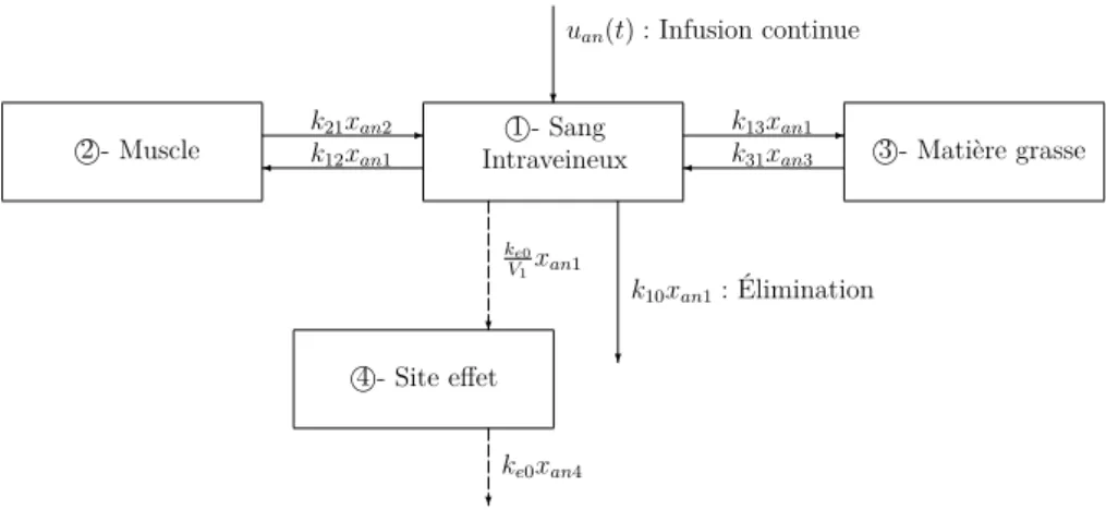 Figure 2.1 – Le modèle pharmacocinétique PK à trois compartiments augmenté par un comparti- comparti-ment site effet
