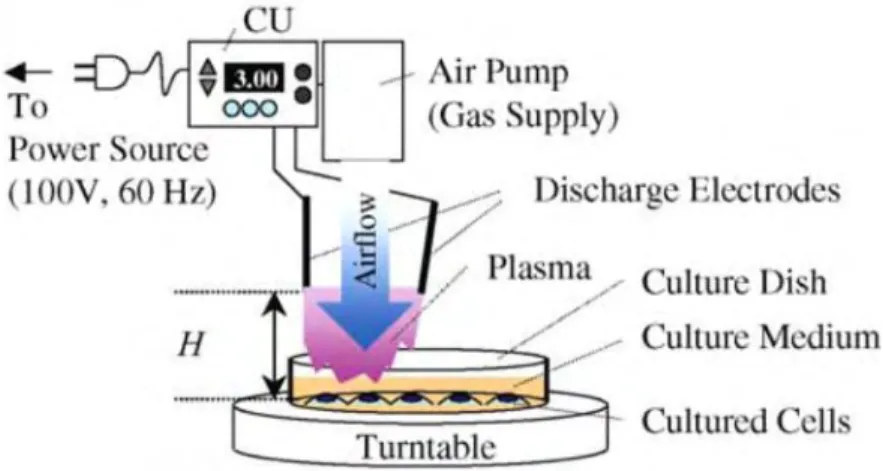 Figure 1-3  Schematic diagram of the plasma generation and the treatment of the cultured cells  with the plasma generator [56]