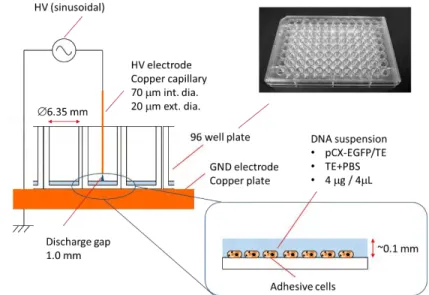 Figure 1-14 displays an overview on the scheme of plasma discharge and the experimental setup  used  for  gene  transfection
