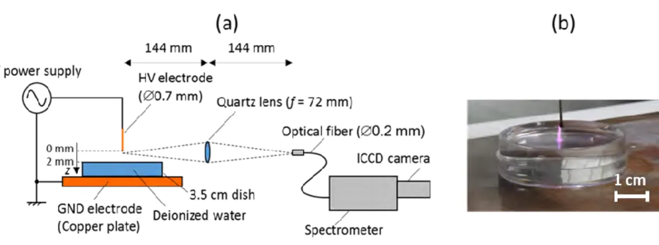 Figure 2-1  (a)  Scheme  of  the  experimental  setup  using  sinusoidal  voltage  waveform  with  frequency of 20 kHz, amplitude of 7 kV and duration of 0.1 s with a repetition frequency of 1 Hz  to producing micro air plasma and (b) A picture of the gene