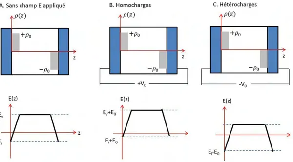 Figure 1.5 : Evolution du champ électrique dans un diélectrique en présence (A) de charges sans  champ appliqué, (B) d’homocharges et (C) d’hétérocharges