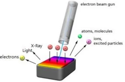 Figure 1-13 Schema of formation of electrons and radiations with electron beam excitation on the surface of  the sample