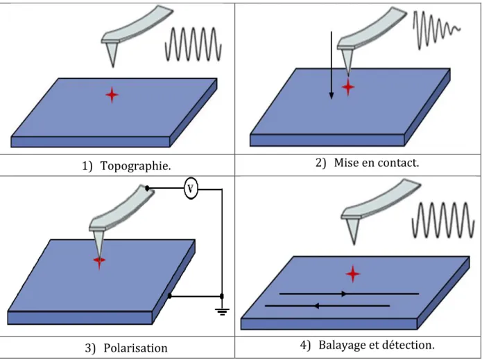 Tableau II.1 Différentes étapes pour l’injection des charges électriques à l’aide de la  sonde AFM