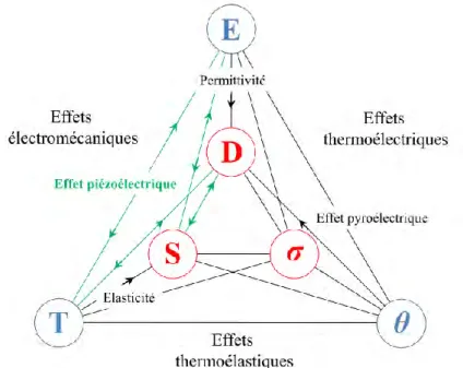 Figure 3 - Schéma de couplage multiphysique au sein des matériaux piézoélectriques 