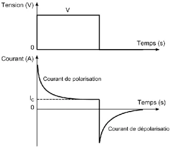 Figure I-17. Allure classique des courants transitoires lors de l’application d’un échelon de tension