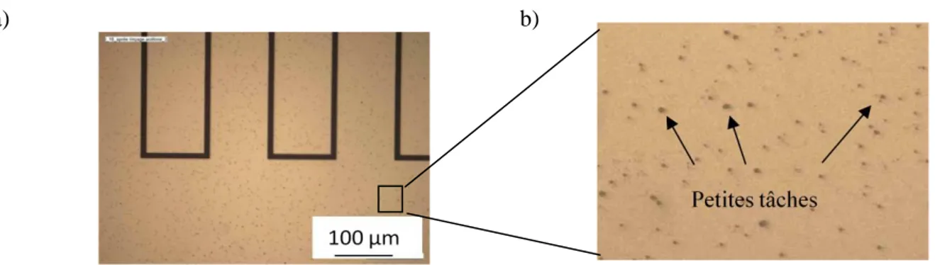 Figure 2-12. Images du substrat après l’adsorption d’OTS a) surface d’or, b) zone agrandie