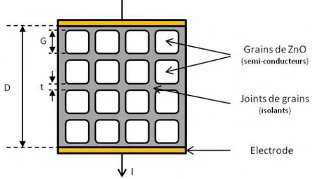 Figure II-6 : Schéma idéalisé de la microstructure d’une varistance à base de ZnO. 