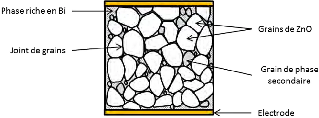 Figure II-7 : Représentation approximative de la microstructure réelle d’une varistance 