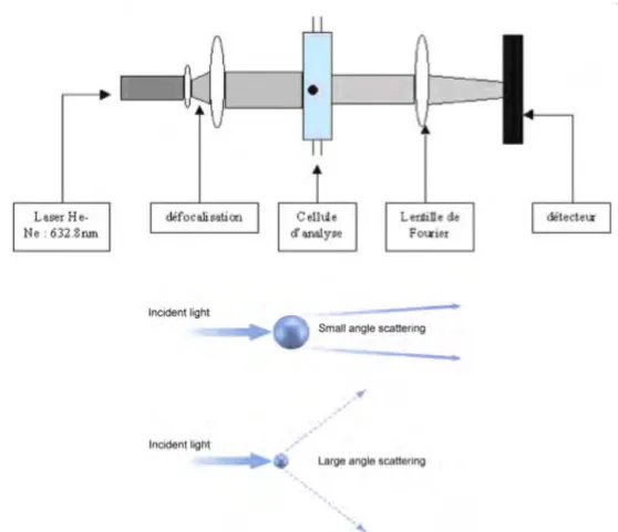Figure II.10: Principe de mesure de la distribution de taille de particules par granulométrie laser 