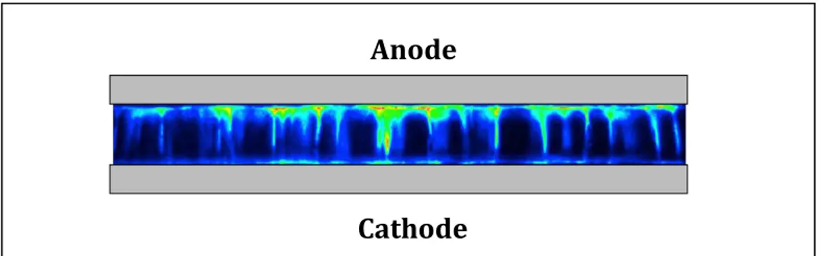 Figure III-4 : Photographie d’une décharge filamentaire vue de dessus avec un ensemble  (diélectrique + électrode) transparent [13] 